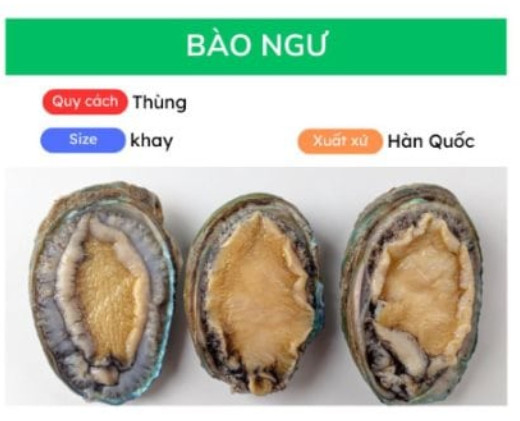 Bào ngư