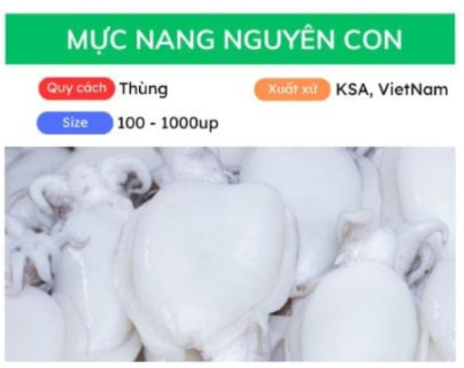 Mực nang nguyên con