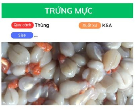 Trứng mực